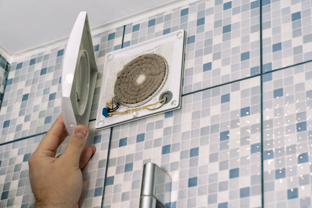 Best Dryer Vent Cleaning Services  in Bovina, TX