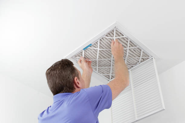 Best Affordable Air Duct Cleaning  in Bovina, TX